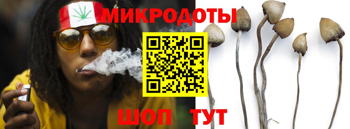 Губаха  Галлюциногенные грибы Psilocybe  Вход с VPN 